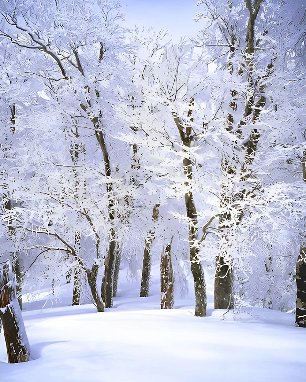 Besneeuwd Bos Diamond Painting