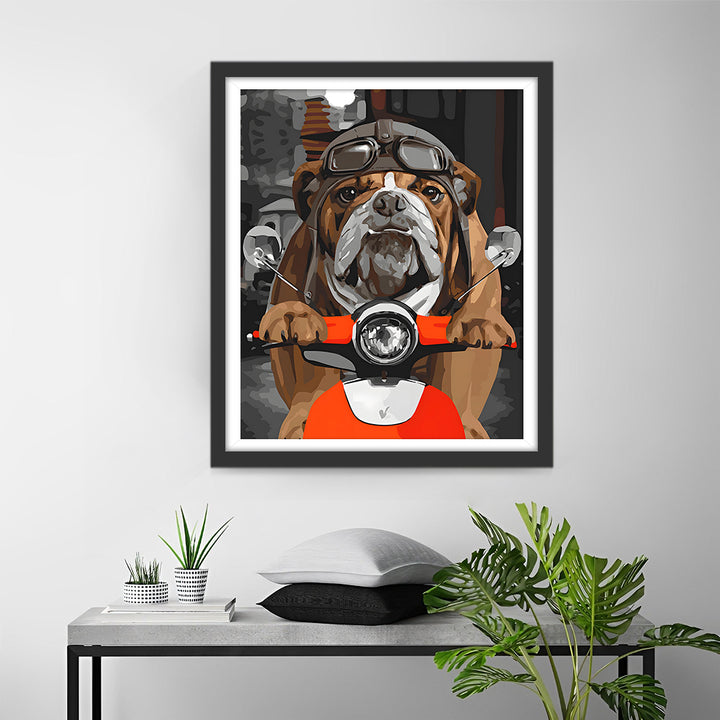 Bulldog Rijder op een Motorfiets Diamond Painting
