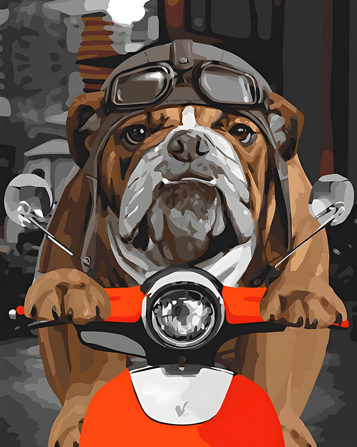 Bulldog Rijder op een Motorfiets Diamond Painting