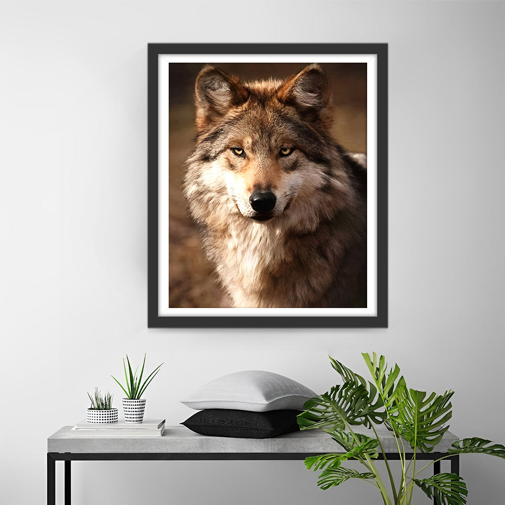 De Blik van de Wolf Diamond Painting
