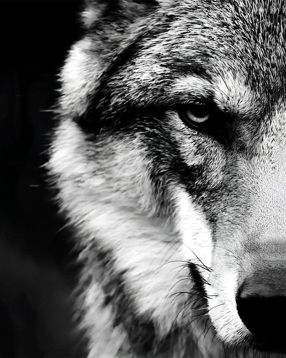 De Verborgen Wolf Diamond Painting