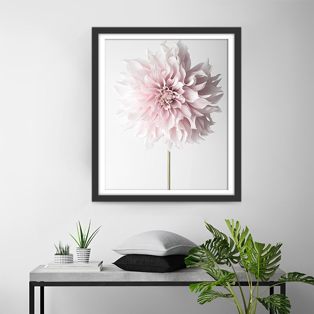 Een Roze Chrysant Diamond Painting