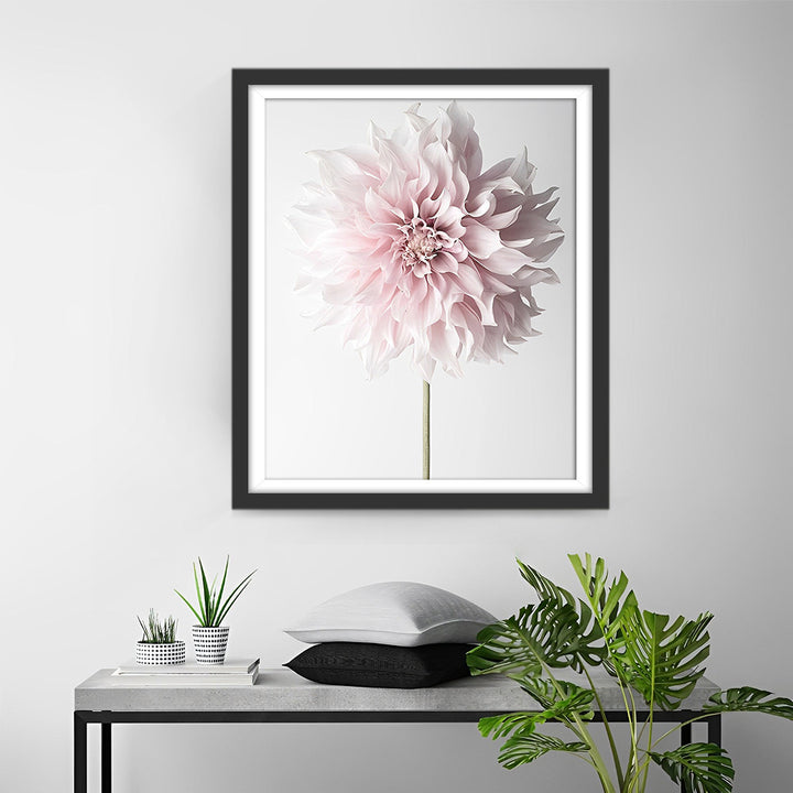 Een Roze Chrysant Diamond Painting