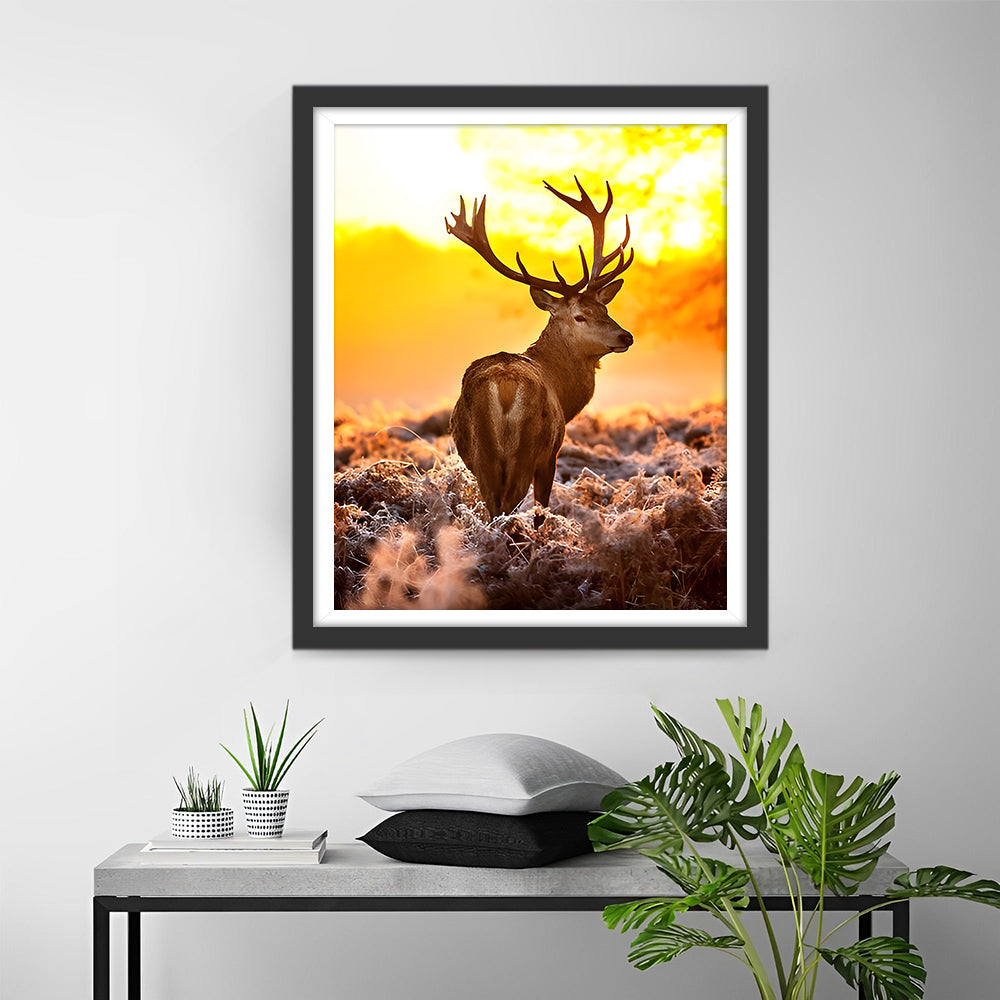 Eland bij Zonsondergang Diamond Painting