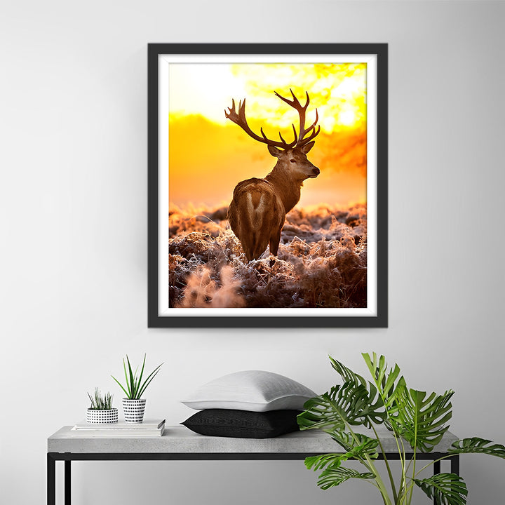 Eland bij Zonsondergang Diamond Painting