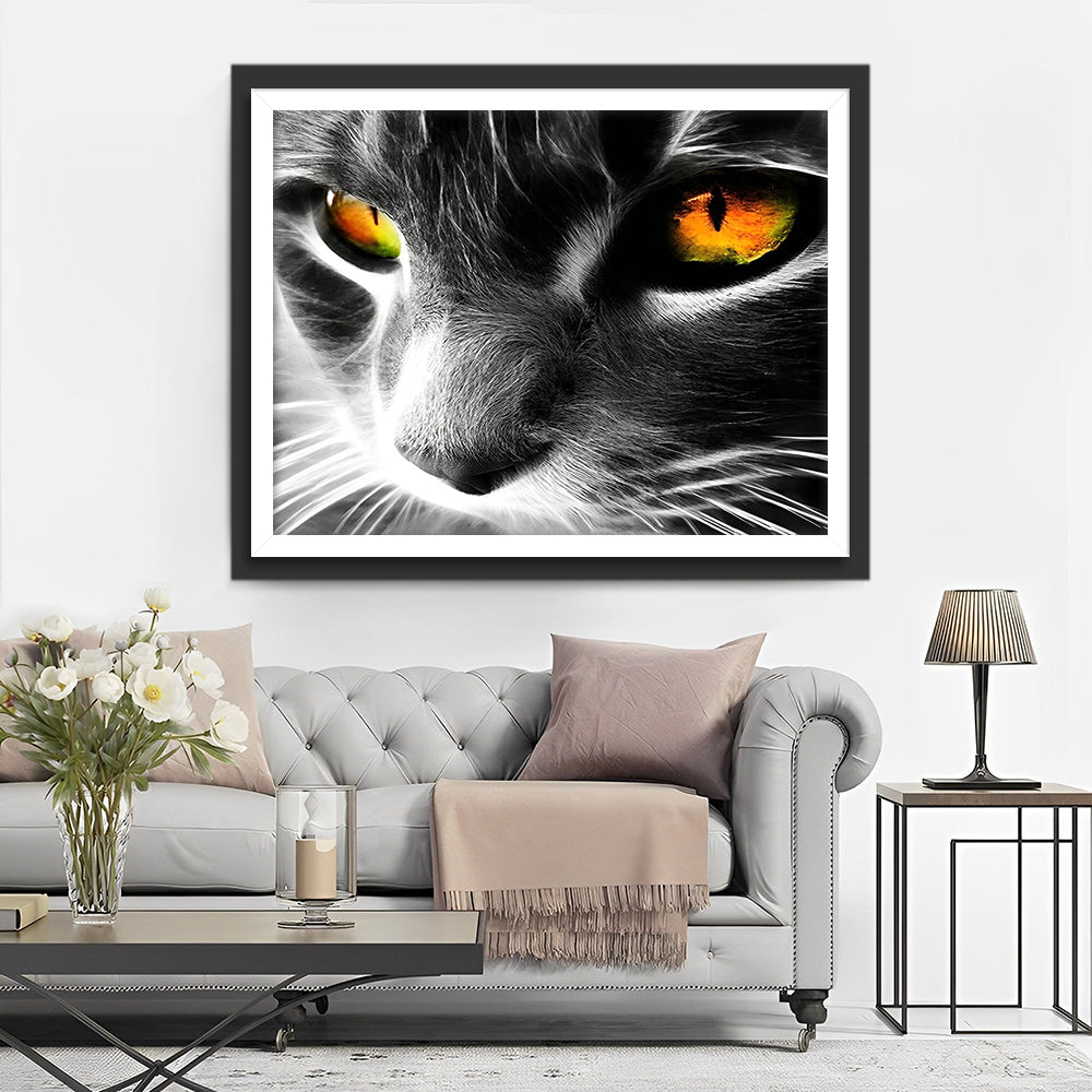 Grijze Kat met Oranje Ogen Diamond Painting