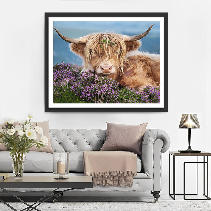 Highland Koe tussen Paarse Bloemen Diamond Painting