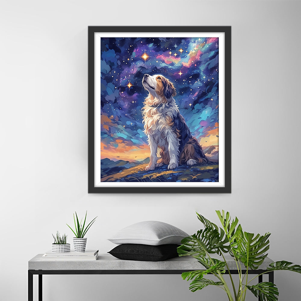 Hond die naar de Sterren kijkt Diamond Painting