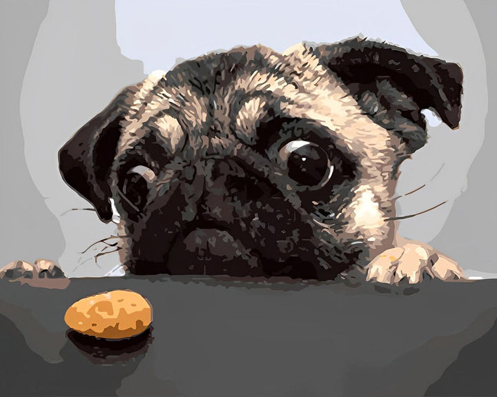 Hongerige Bulldog Diamond Painting