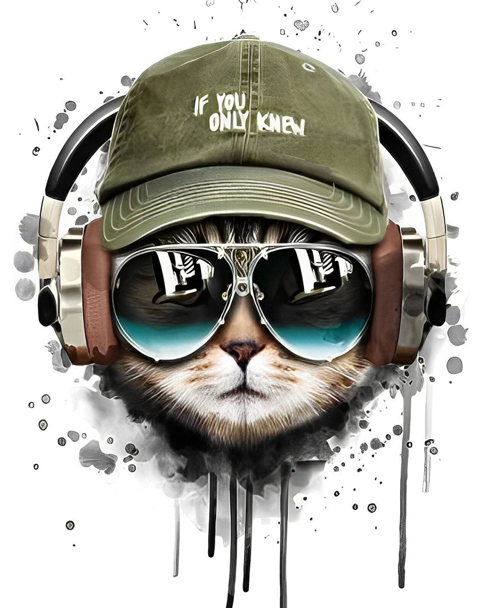 Kat met Zonnebril en Hoed Diamond Painting