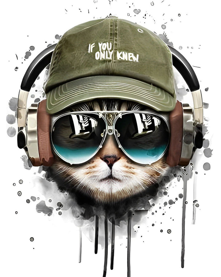 Kat met Zonnebril en Hoed Diamond Painting