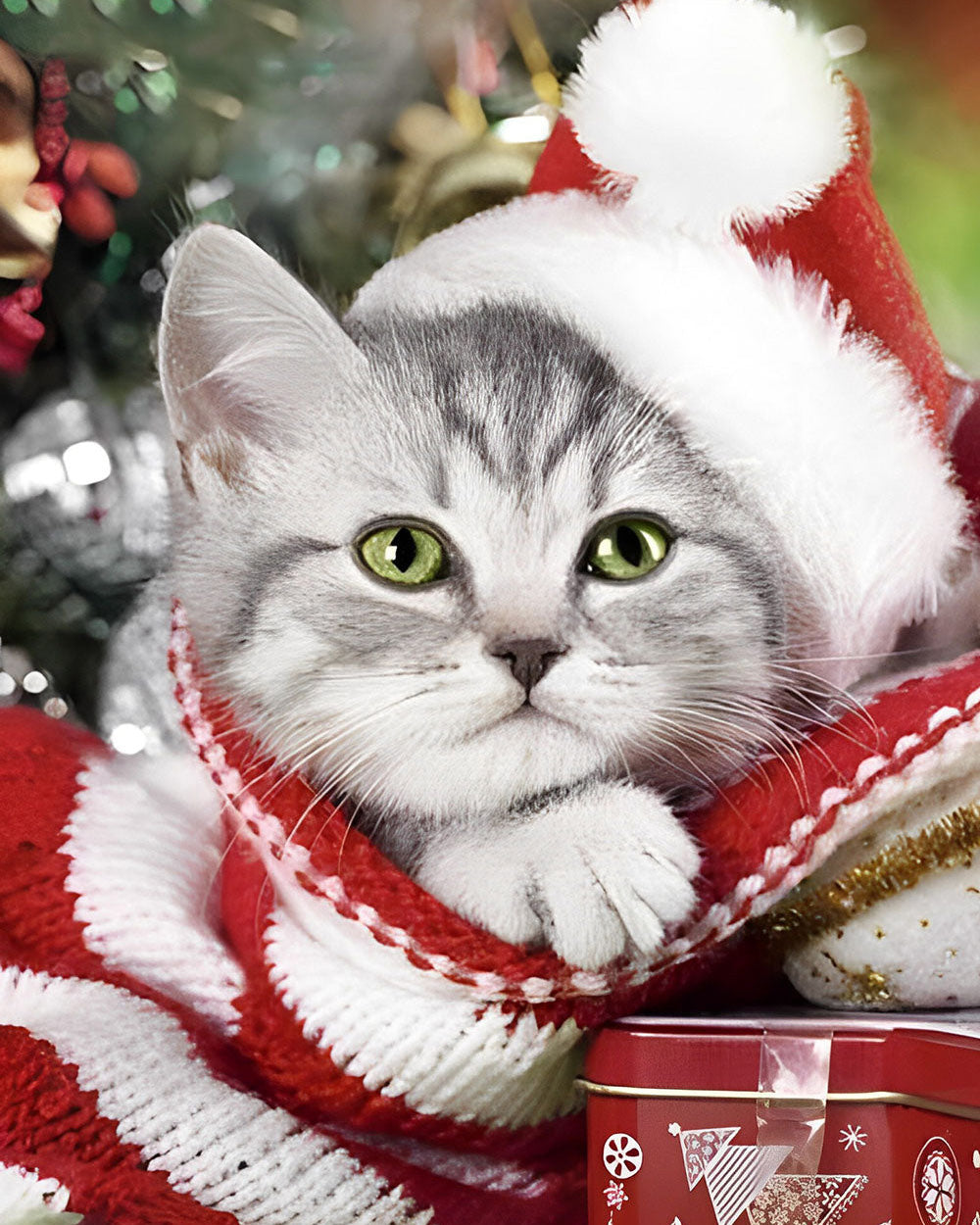 Kerst Kitten met Muts Diamond Painting