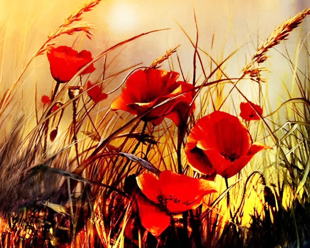 Klaprozen en Herfstgras Diamond Painting