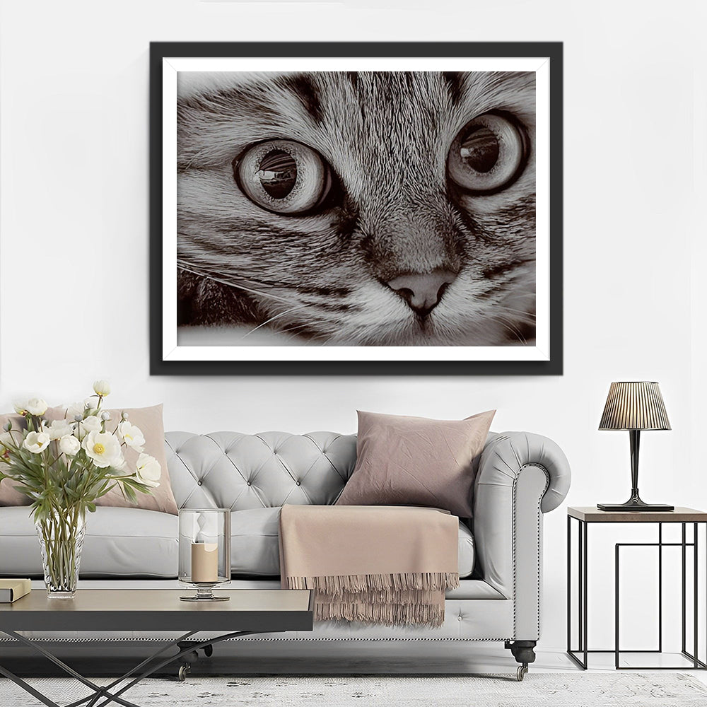 Kleine Grijze Kitten Diamond Painting