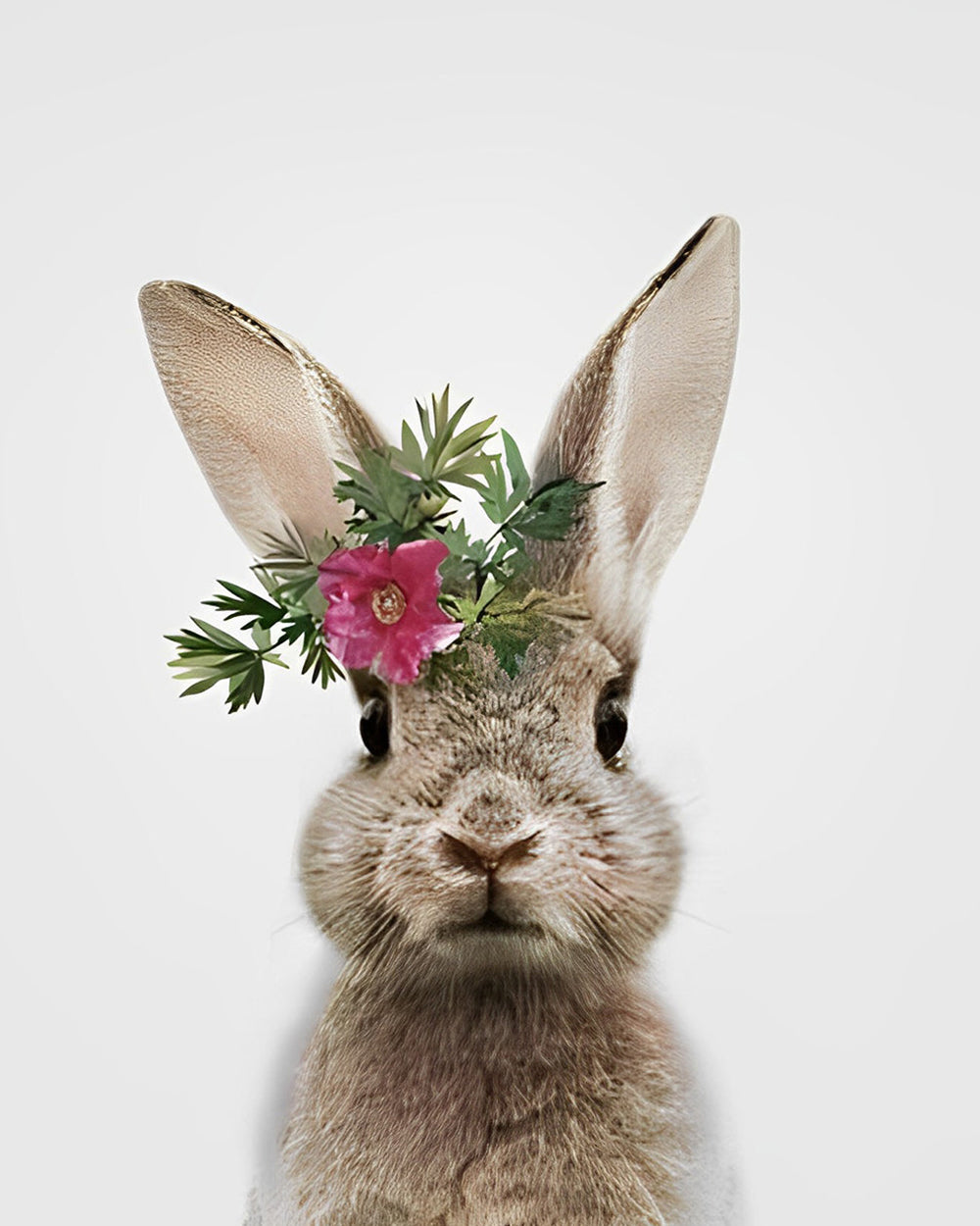 Konijn met Rode Bloem Diamond Painting