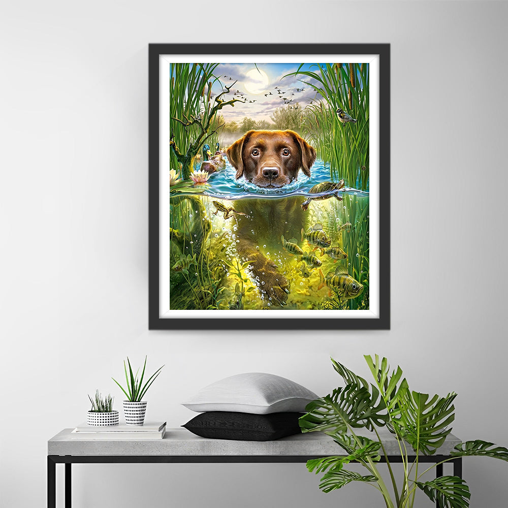 Labrador Retrievers Vissen in het Water Diamond Painting