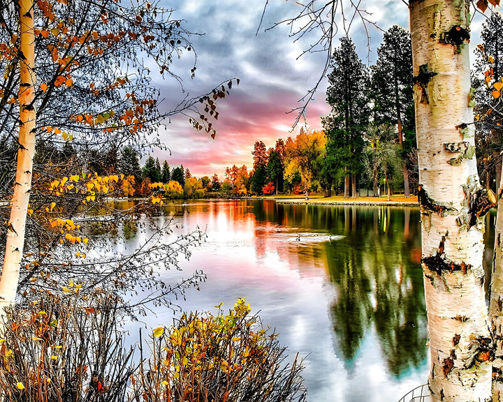 Meer omgeven door Bos Diamond Painting