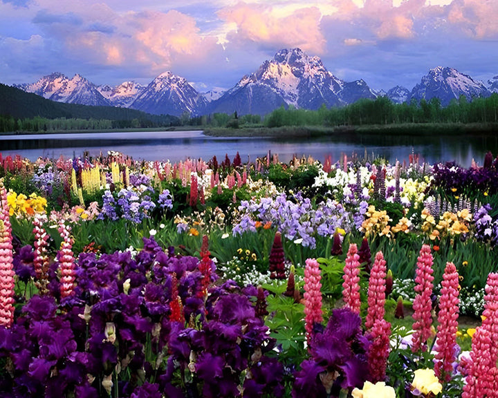 Paarse Bloemenveld bij het Meer Diamond Painting