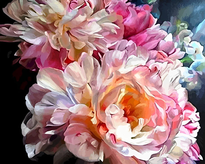 Pioenen in Volle Bloei Diamond Painting
