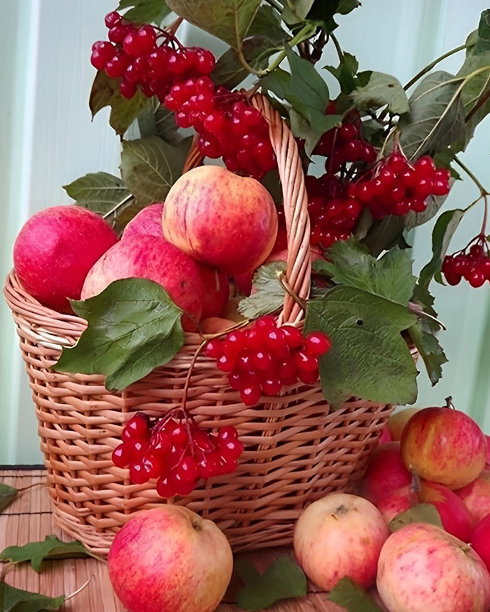 Rode Appels in de Mand Diamond Painting