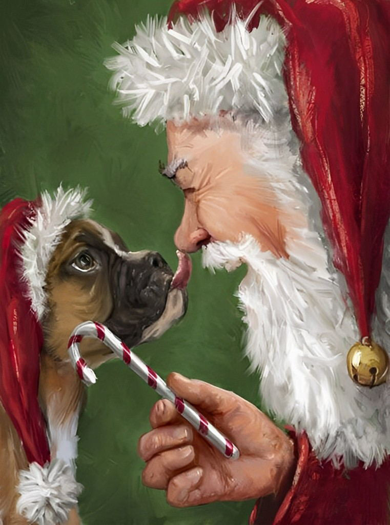 Sinterklaas en het Hondje Diamond Painting