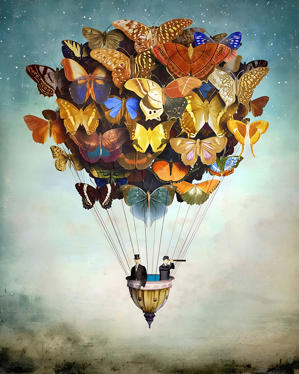 Vlinder Luchtballon Diamond Painting