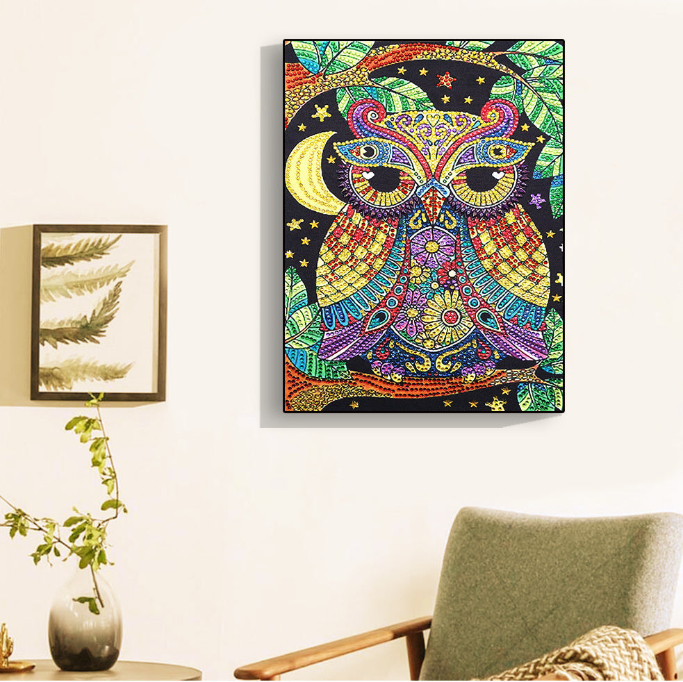 Speciaal Gevormde Strass Kleurrijke Uil Diamond Painting