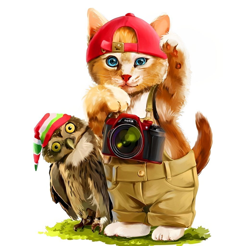 Avontuurlijke Katfotograaf Diamond Painting