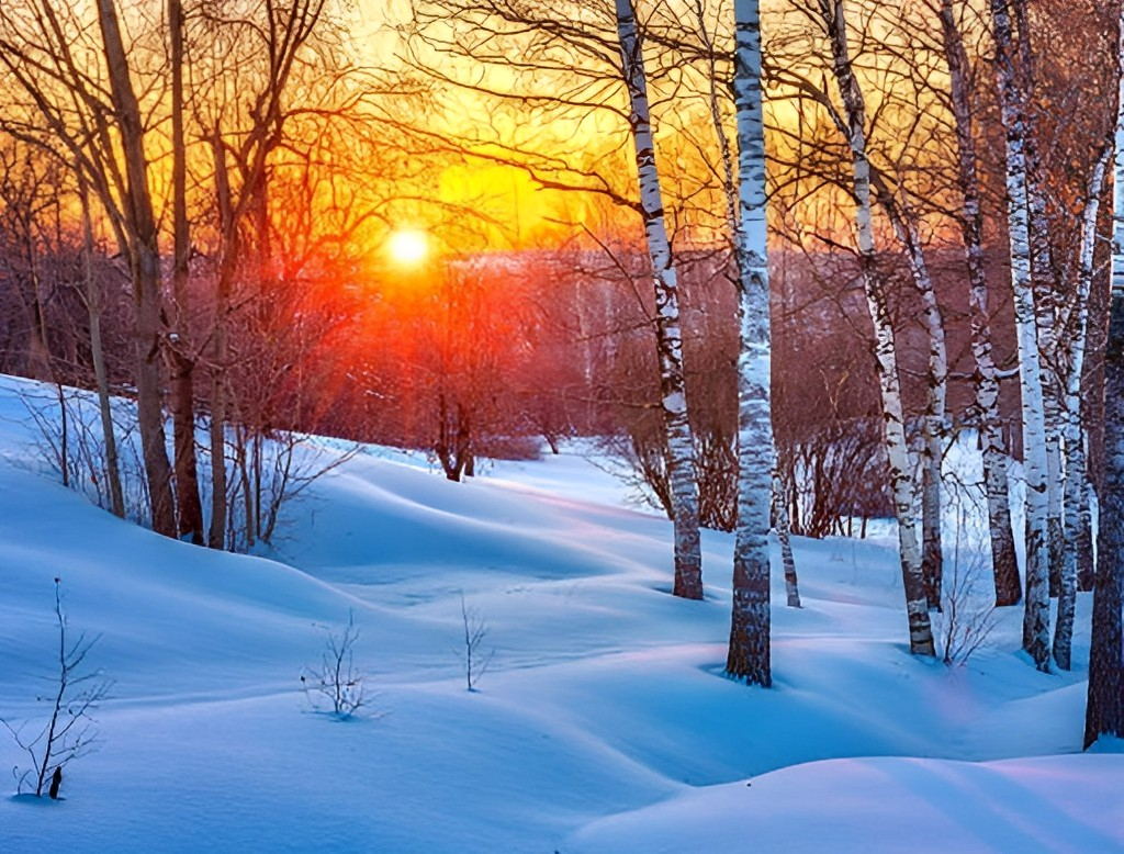 Betoverende Zonsondergang in het Winterwoud Diamond Painting