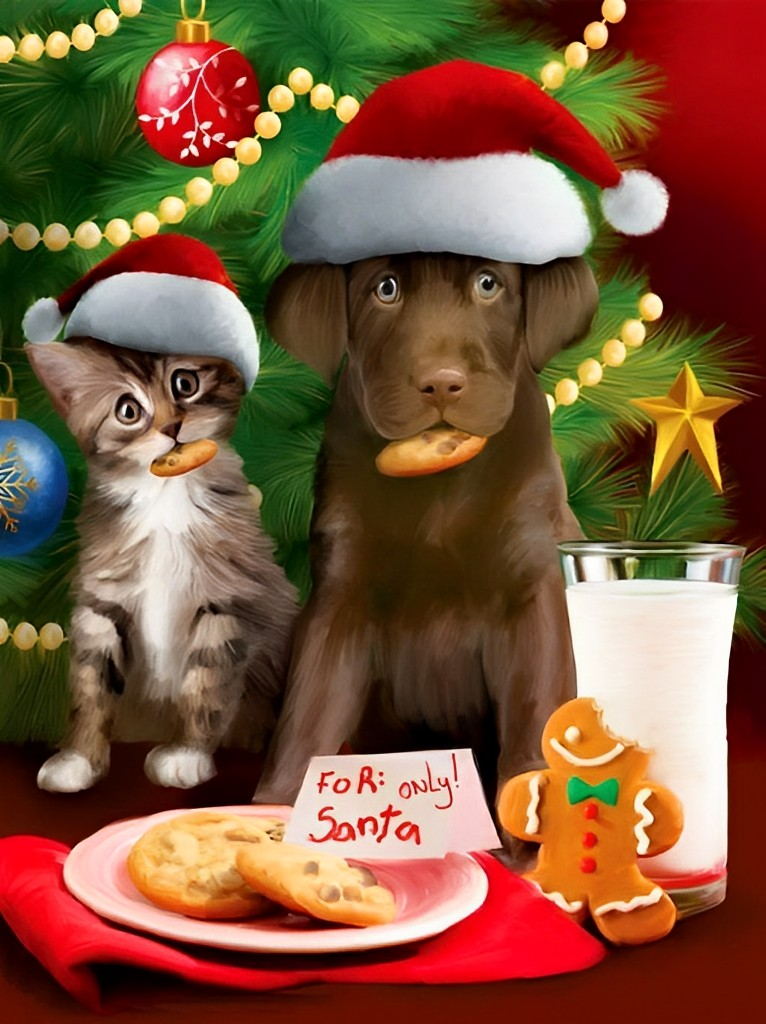 De Grappige Dieren en de Kerstversnaperingen Diamond Painting