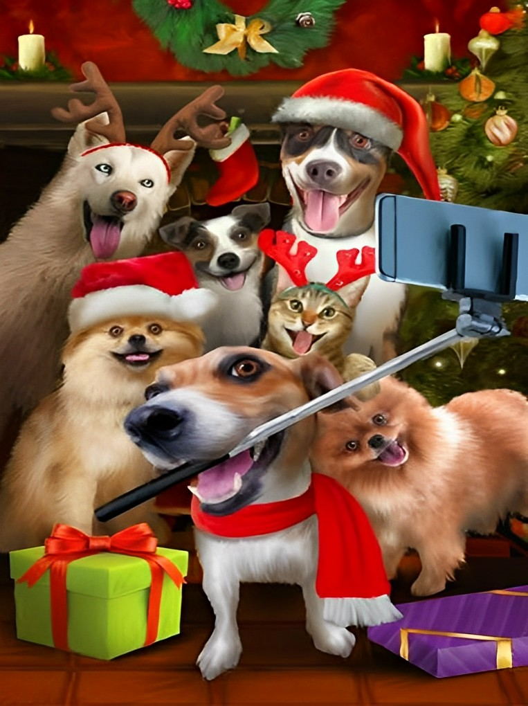 De Honden en Katten in Kerstoutfits bij de Selfiestick Diamond Painting