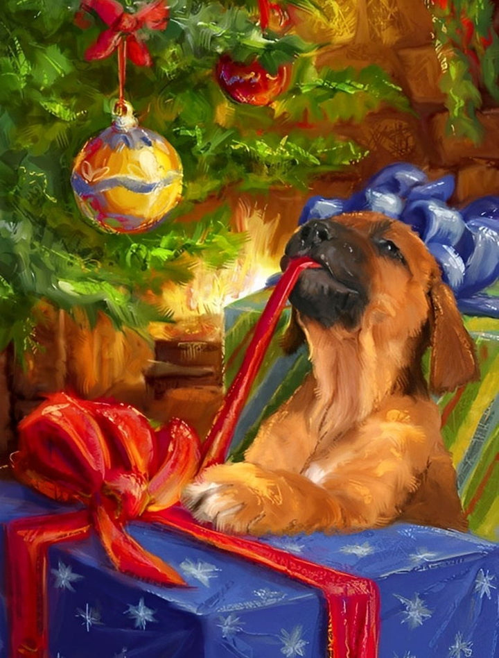 De Leuke Hond en het Kerstcadeau Diamond Painting