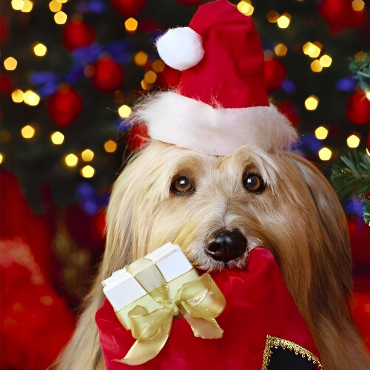 De Lieve Hond met het Kerstcadeautje in de Bek Diamond Painting