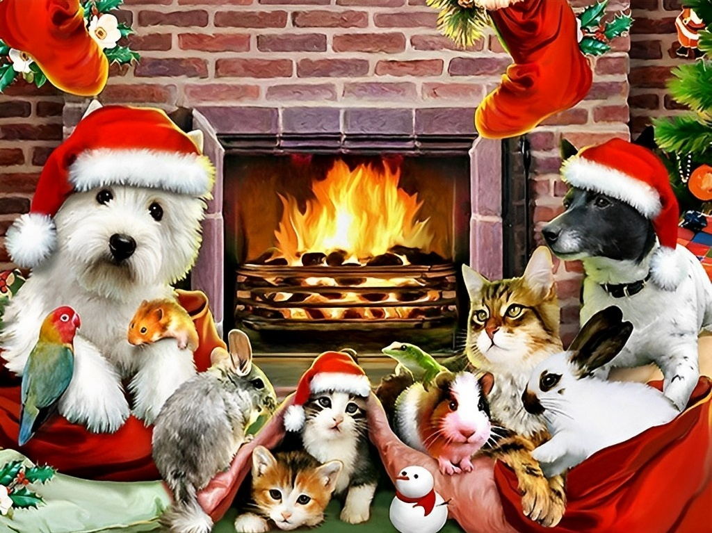 Dieren met Kerstmutsen bij Open Haard Diamond Painting