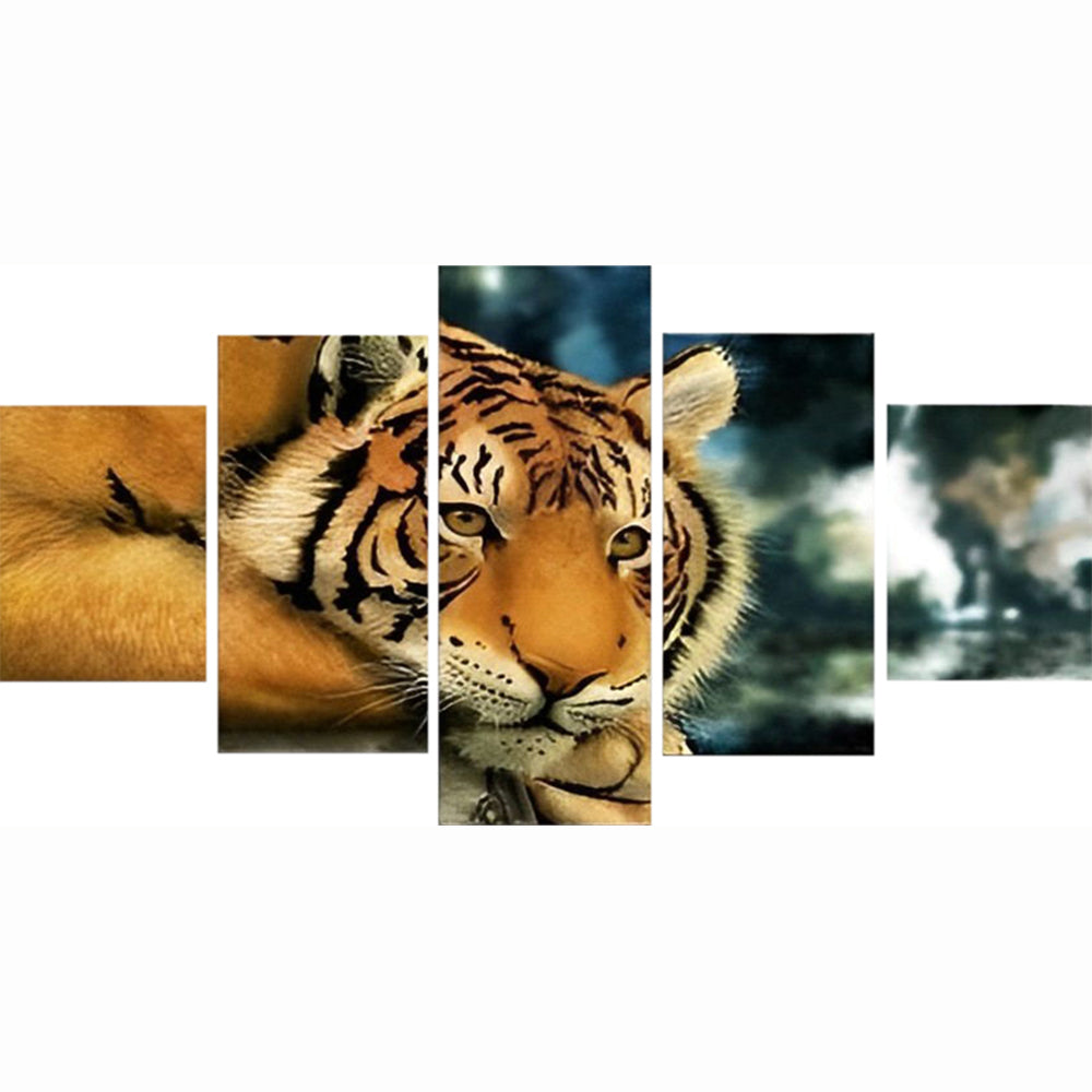 Een Rustende Tijger 5 Platen Diamond Painting