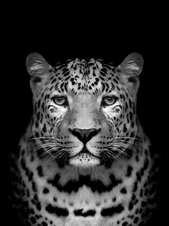 Een Serieuze Tijger tegen een Zwarte Achtergrond Diamond Painting