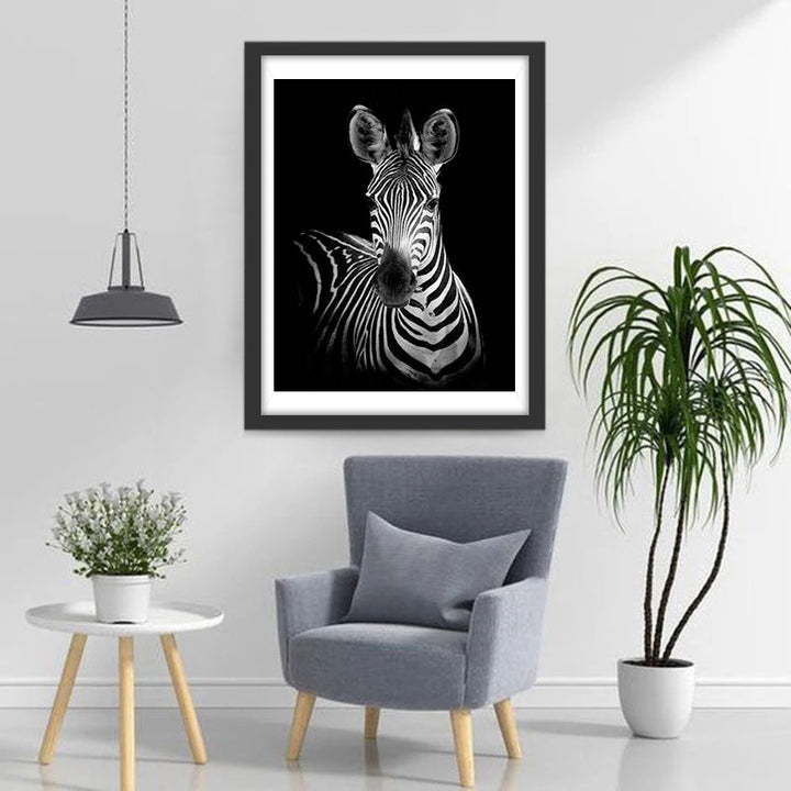 Een Zebra tegen een Zwarte Achtergrond Diamond Painting