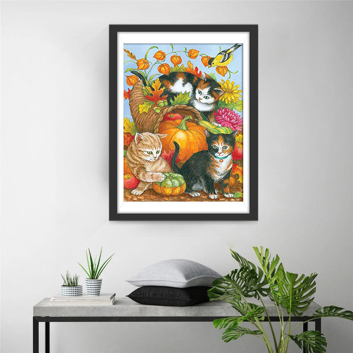 Fruit, Pompoenen en Katjes Diamond Painting