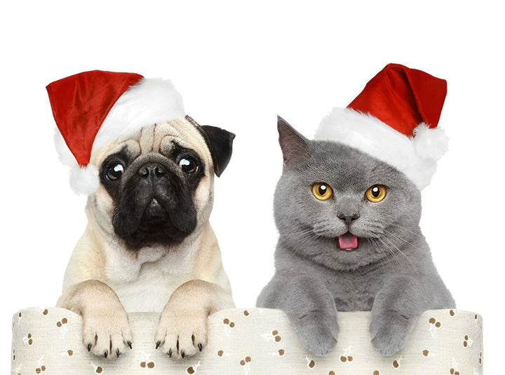 Gekke Kerstkatten en Honden Diamond Painting