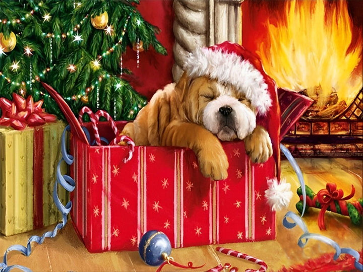 Het Schattige Hondje in het Kerstcadeaudoosje Diamond Painting