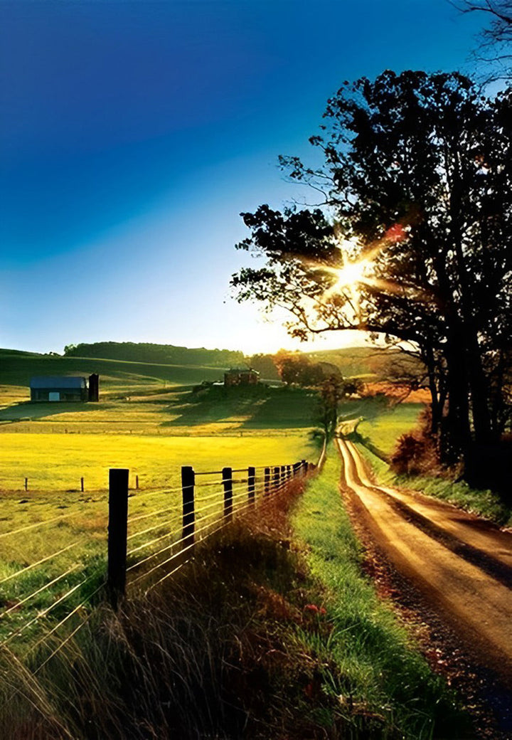 Het Zonovergoten Pad door de Weide Diamond Painting