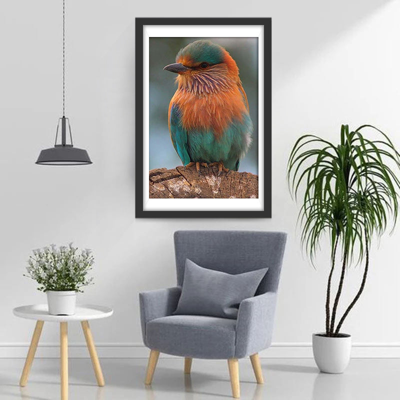 Indiase Roller op de Boom Diamond Painting