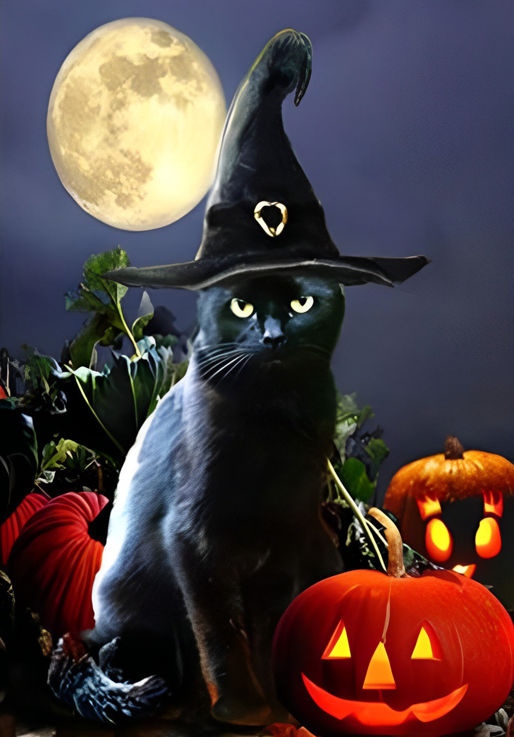 Kat in Hoed bij Magische Pompoenen Diamond Painting