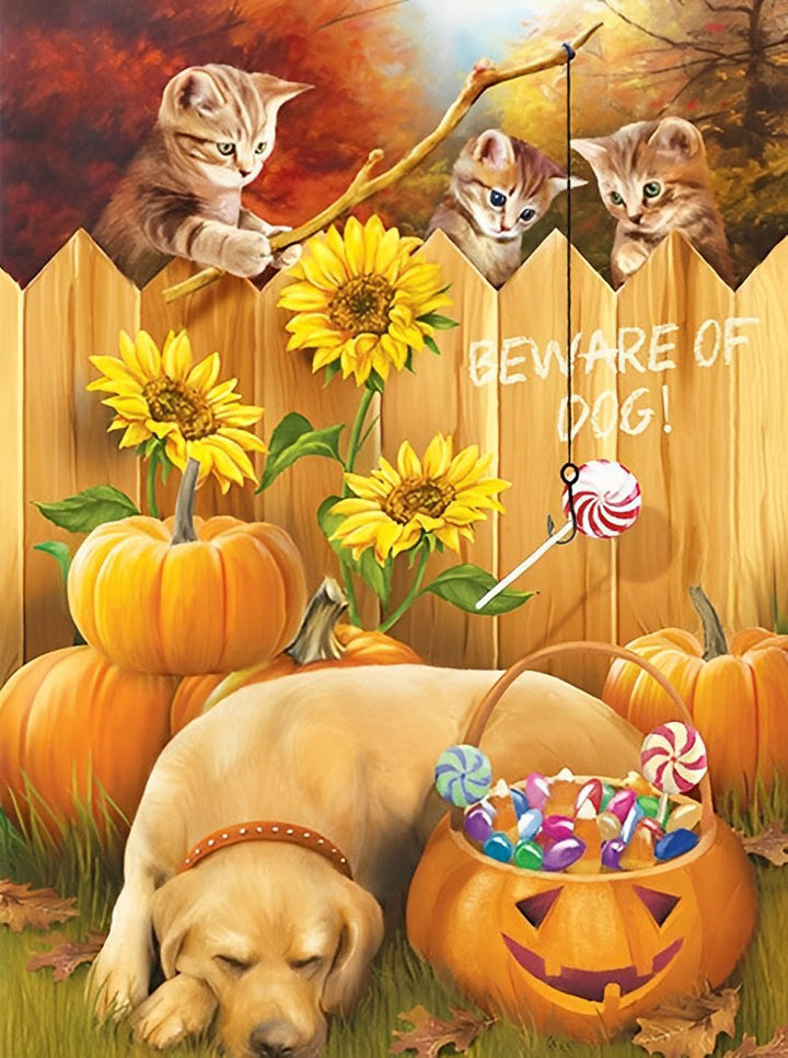 Katten op Schutting, Hond bij Snoeppompoen Diamond Painting