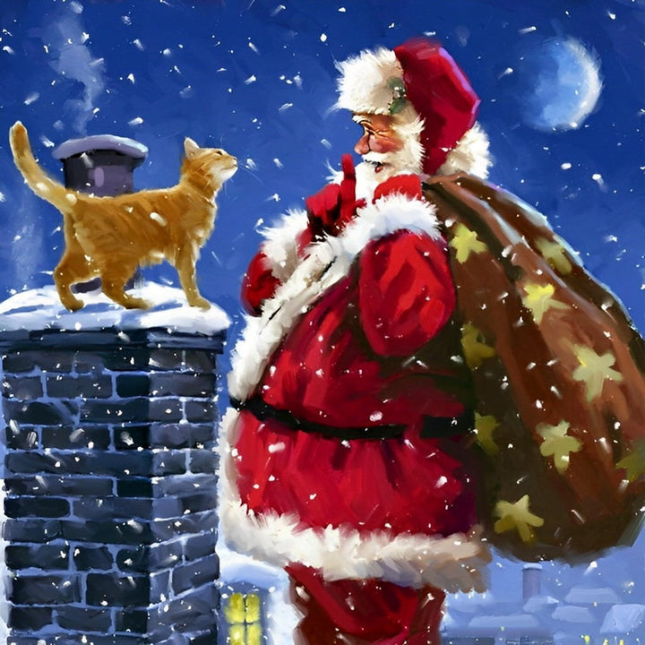 Kerstman en Kat op Sneeuwdak Diamond Painting