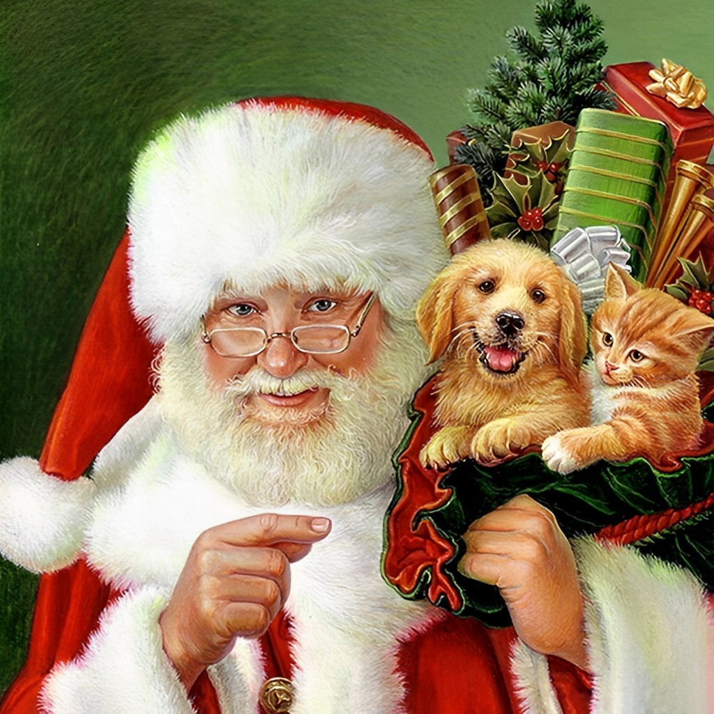 Kerstman met Dieren Diamond Painting