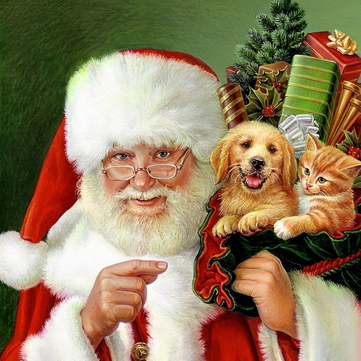 Kerstman met Dieren Diamond Painting
