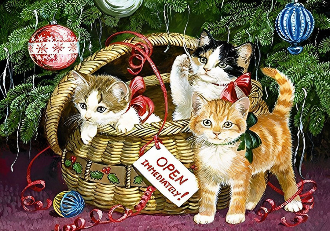 Kittens in Mand onder Kerstboom Diamond Painting