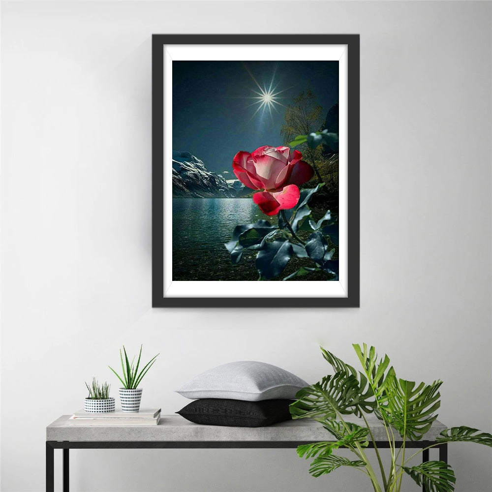 Roos in Maanlicht Diamond Painting