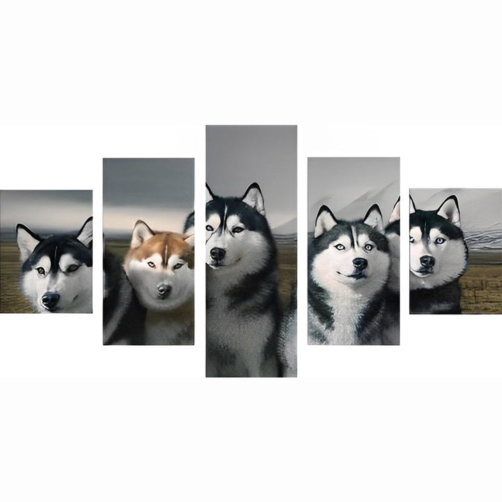 Schattige Husky - Gezichten 5 Platen Diamond Painting